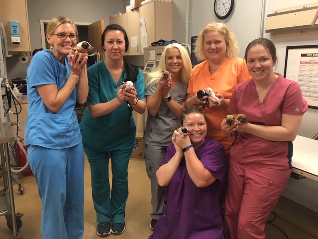 Wake Forest Animal Hospital Team holding puppies