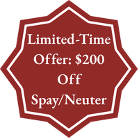 spay neuter offer starburst icon